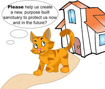 Feline Fund Project - Raising Funds to build a new cat rescue centre